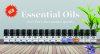 NEW - Essential Oils (3 pack)